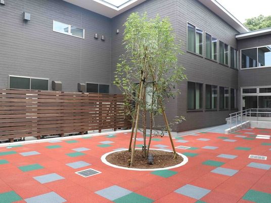 中庭の植栽と通路  