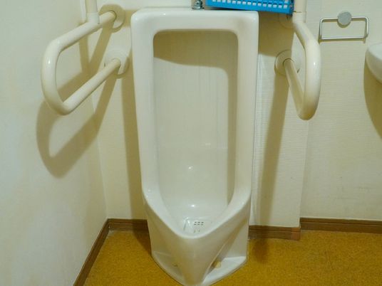 手すり付き洋式トイレ