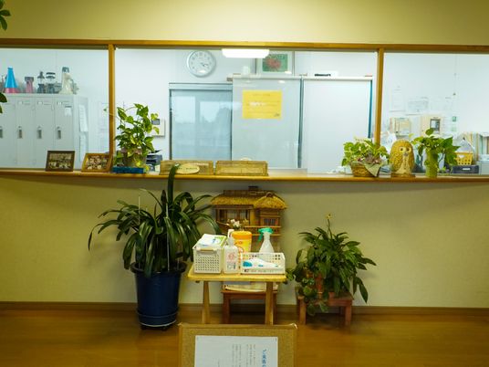 フロントカウンターと植物