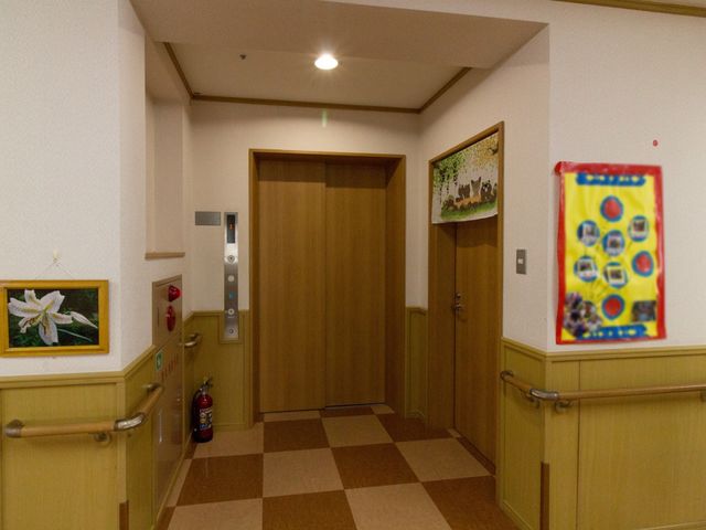 廊下の美しいインテリア エレベーター ゆったりとした通路は清潔感があり、壁には絵画が飾られ、明るく暖かな雰囲気を醸し出しています。