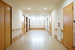 明るい廊下の様子