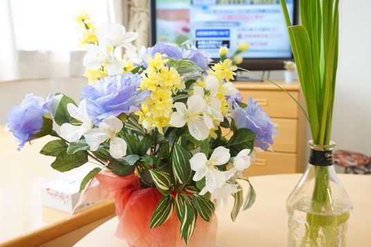 色とりどりの花とテレビ