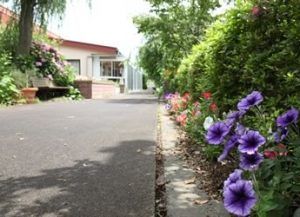 色鮮やかな花壇の庭