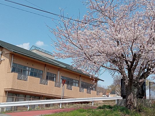 桜のある外観  