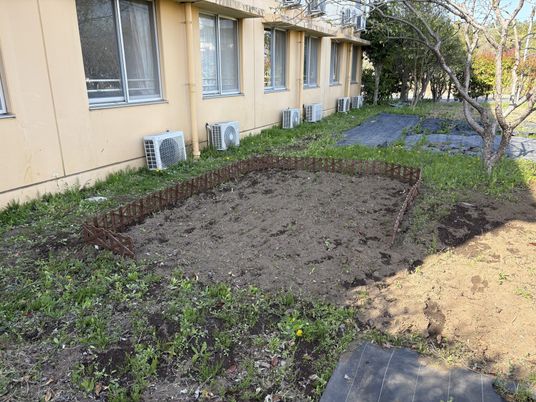 小さな畑と外の様子