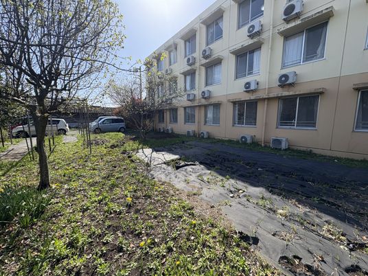 自然に囲まれた庭