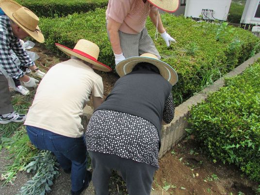 庭で作業する人々