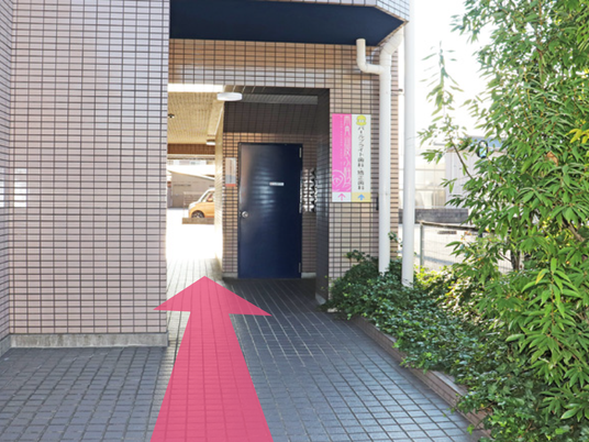 入口へ続くアプローチ