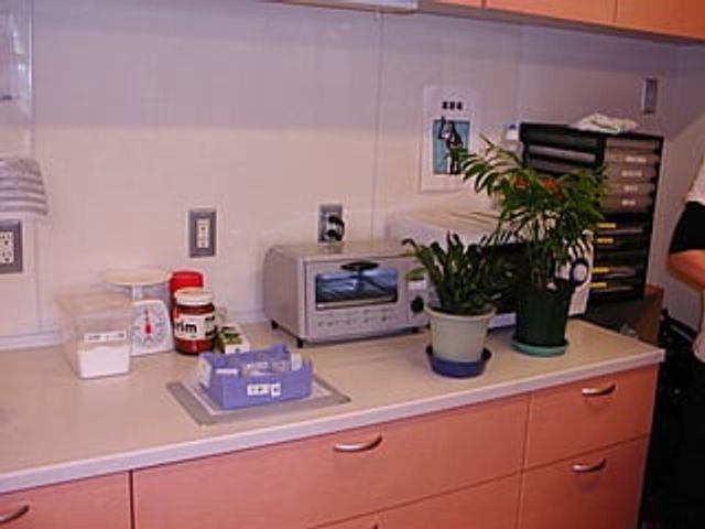 調理家電と観葉植物のある台所 キッチン 調理家電が整備され、観葉植物が配置された快適なキッチンです。スタッフの作業効率向上に役立ちます。