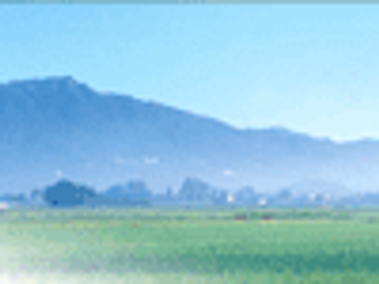 自然豊かな風景