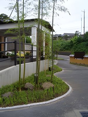竹林の庭
