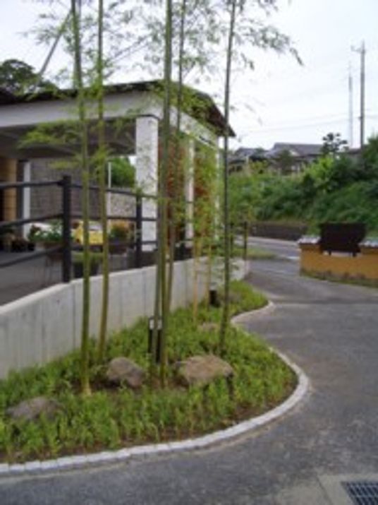 竹林の庭