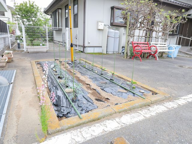 赤いベンチ付き小さな庭 庭 ゆったりとした赤いベンチが置かれた小さな庭では、お花や植物のお世話を楽しむことができます。