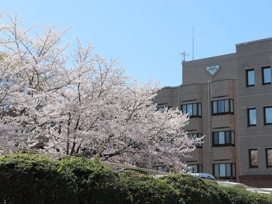 桜と建物外観  