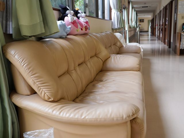 廊下にあるソファとぬいぐるみ 廊下 ゆったりとしたソファが並ぶ廊下は、訪れる人に安らぎを提供します。ぬいぐるみも彩りを添えて明るい雰囲気を演出しています。