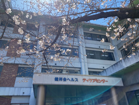 桜の枝越しの建物外観  