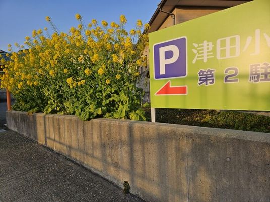 駐車場案内看板  