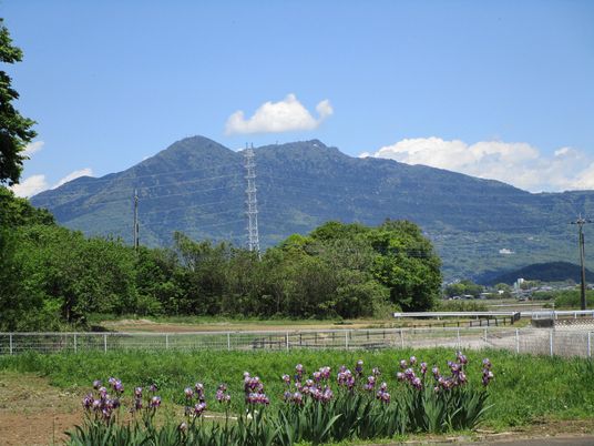 庭から見える山