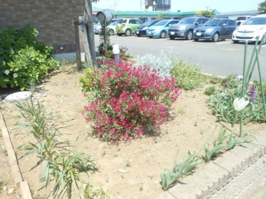 花壇のある外観  