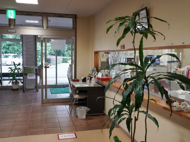 明るいエントランス風景 エントランス 開放的な入口でお出迎え。観葉植物が柔らかな空間を演出しています。