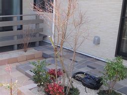 落ち着いた雰囲気の中庭