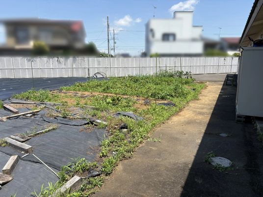 開放的な庭