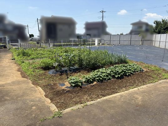 家庭菜園のある庭