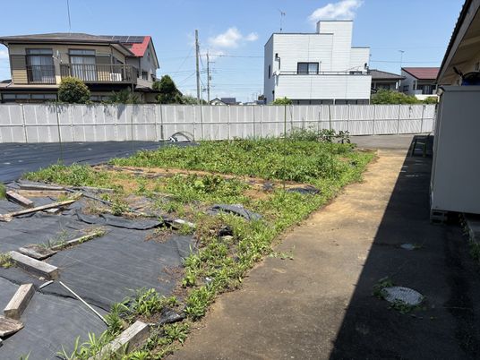 開放的な庭