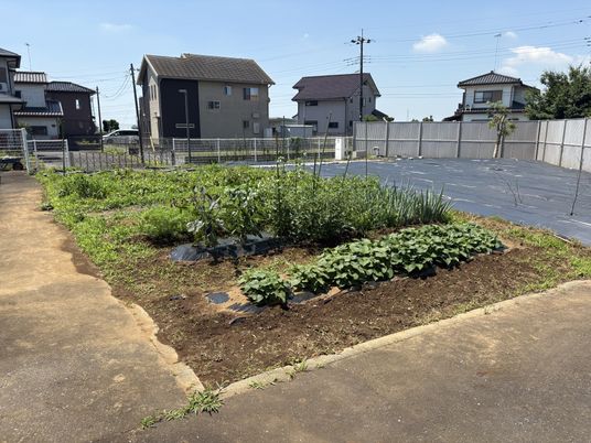 家庭菜園のある庭