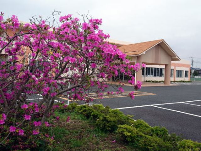 満開の花咲く外観 外観 春の訪れを感じる鮮やかな花々が咲き誇っています。穏やかな雰囲気が魅力です。