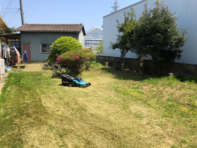 緑の庭 庭 手入れが行き届いた庭は、季節の花々を楽しみながら散策や憩いの時を過ごすことができます。