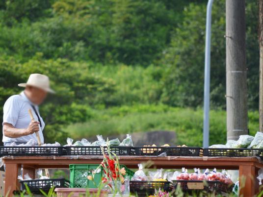 新鮮野菜の販売所