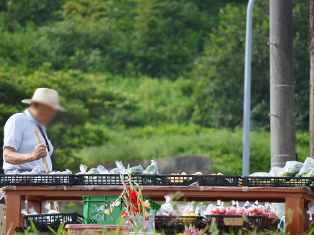 新鮮野菜の販売所