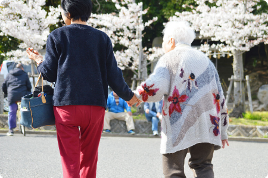花見を楽しむ庭