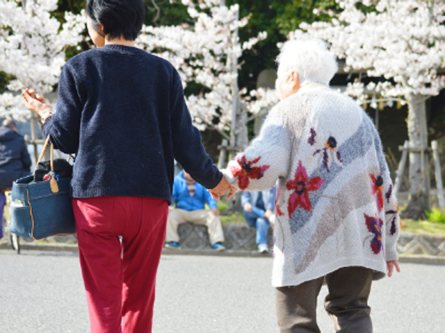 花見を楽しむ庭 庭 スタッフと一緒に桜を楽しむ姿です。リラックスした雰囲気で過ごせます。