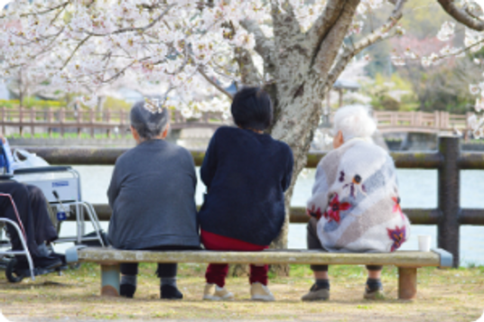 春の庭園での交流