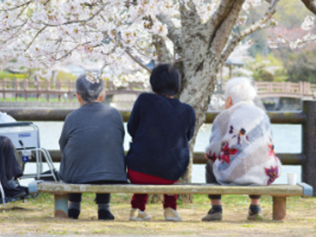 春の庭園での交流 庭 桜の咲く庭園で、利用者同士がリラックスして会話を楽しんでいます。穏やかなひとときが魅力です。