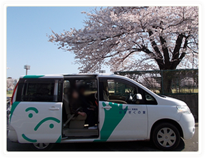 満開の桜と車