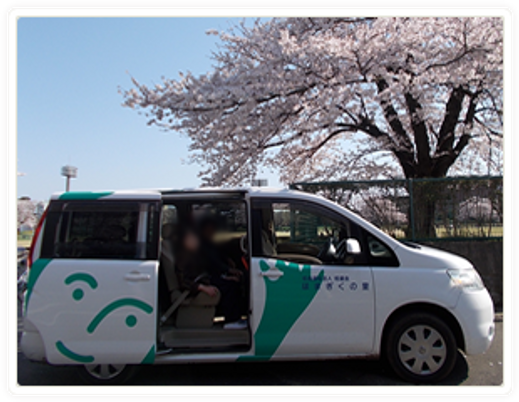 満開の桜と車
