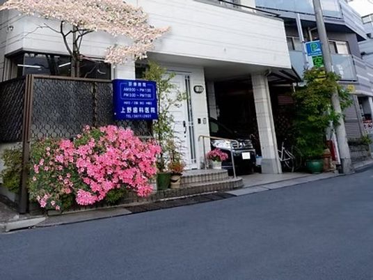 春の外観  