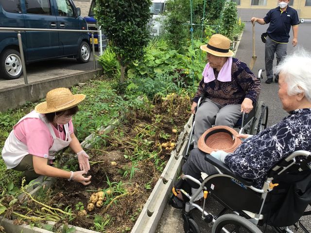 野菜の収穫を楽しむ様子 庭 車椅子の方も参加可能な、自然を感じながら過ごせるアクティビティの場です。