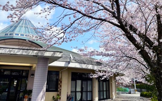 桜が咲く外観