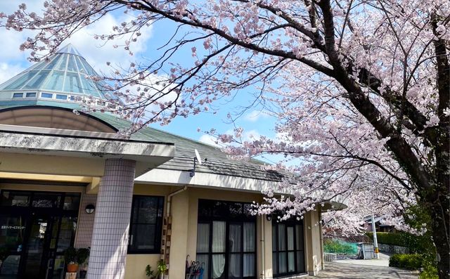 桜が咲く外観