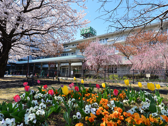 桜咲く施設の外観  