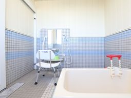 浴室のシャワーと浴槽