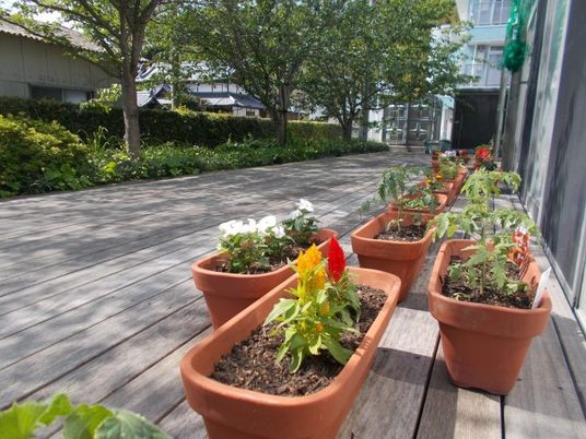 花壇のある木製テラス  