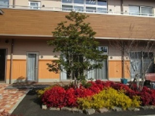 彩り豊かな庭 庭 多彩な花々が花壇を彩っています。散策やリラックスできる心地良いスペースです。
