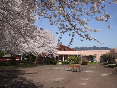 満開の桜が彩る庭