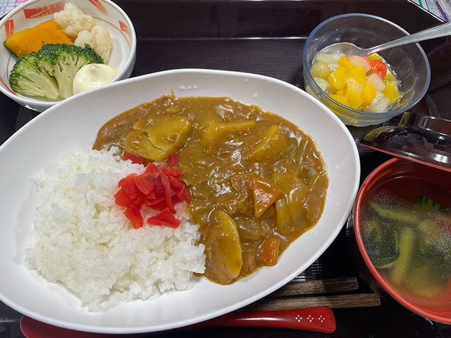 彩り豊かな食事 料理 バランスの取れた色鮮やかな食事が提供される環境です。栄養ある特製カレーを楽しめます。