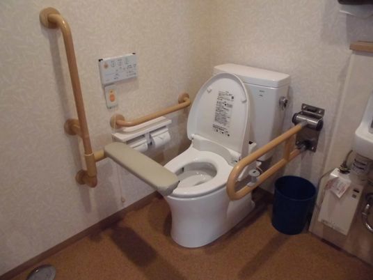 安全設備のあるトイレ